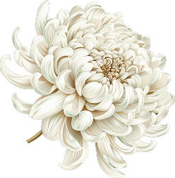 Ornaments